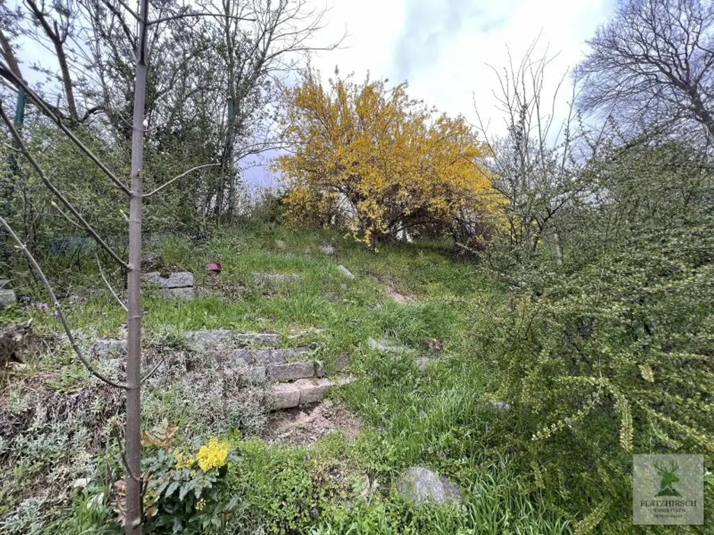 Einzigartiges Liebhaberobjekt mit toskanischem Flair, riesigem Garten, herrlichem Wintergarten, in Prottes - 35 Min von Wien - 8 Minuten von Gänserndorf