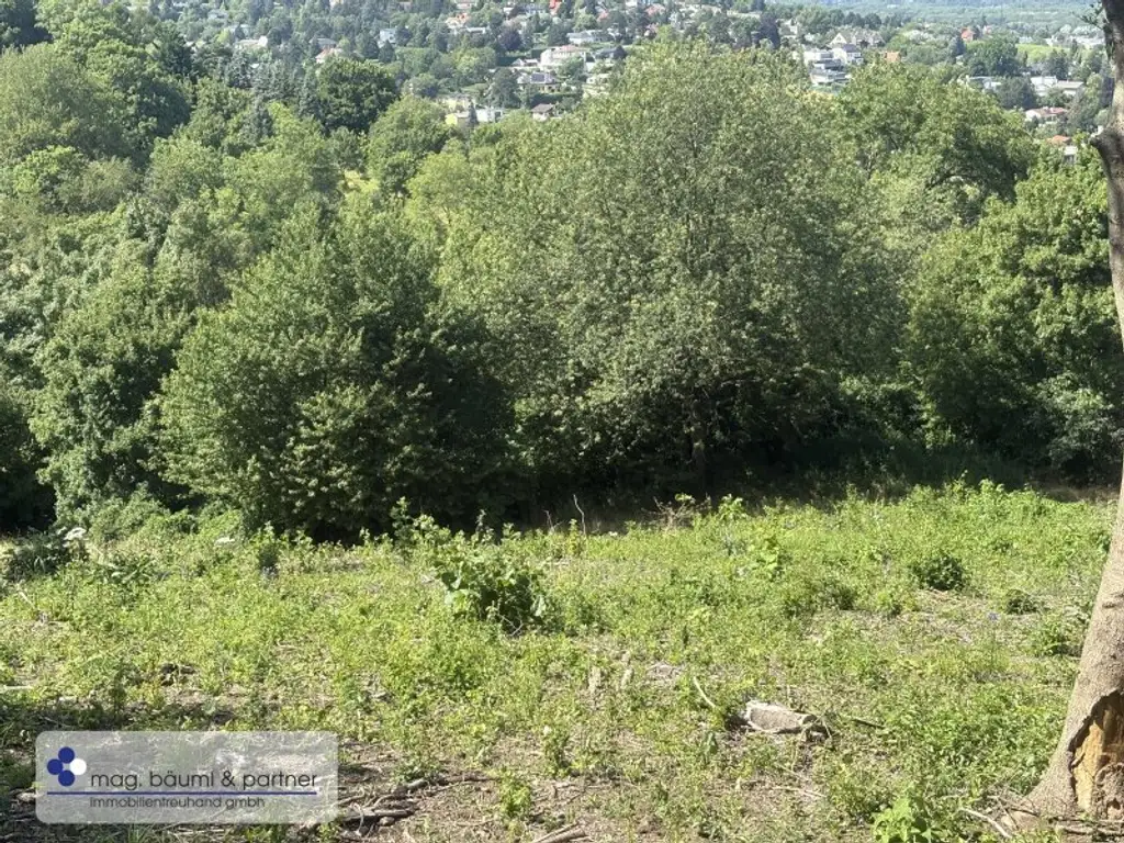 Grünland  mit Zufahrt und  Aussicht