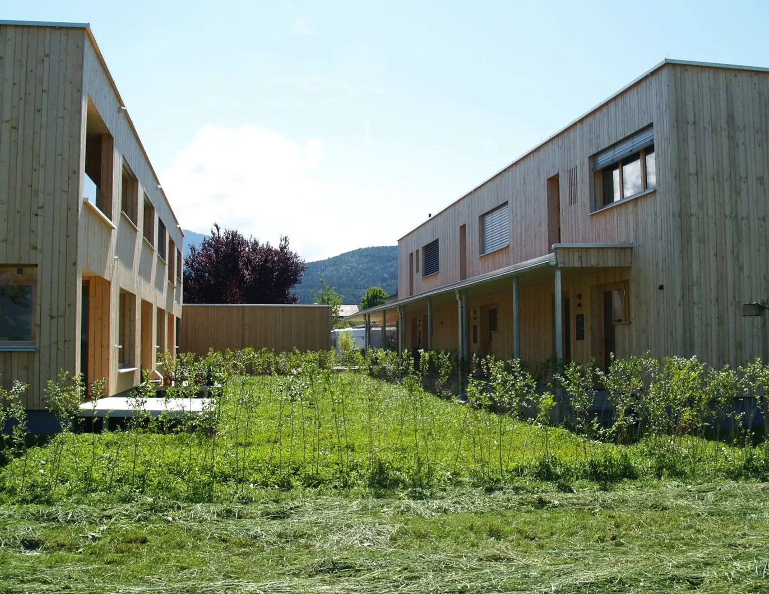 NEU - Feldkirch Gisingen Guldenäcker - Vollholz Reihenhaus mit 5 Zimmer, Garten und Carport, Top Lage