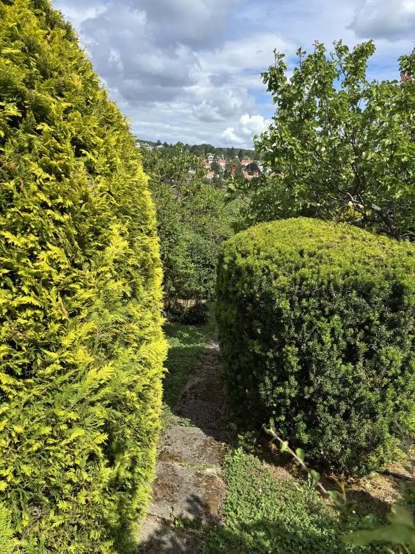 Garten_Weg