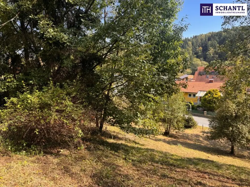 PREISREDUKTION! Attraktiver Baugrund inkl. Bewilligung für Wohnbauprojekt mit 4 Doppelhaushälften! Jetzt Anfragen!