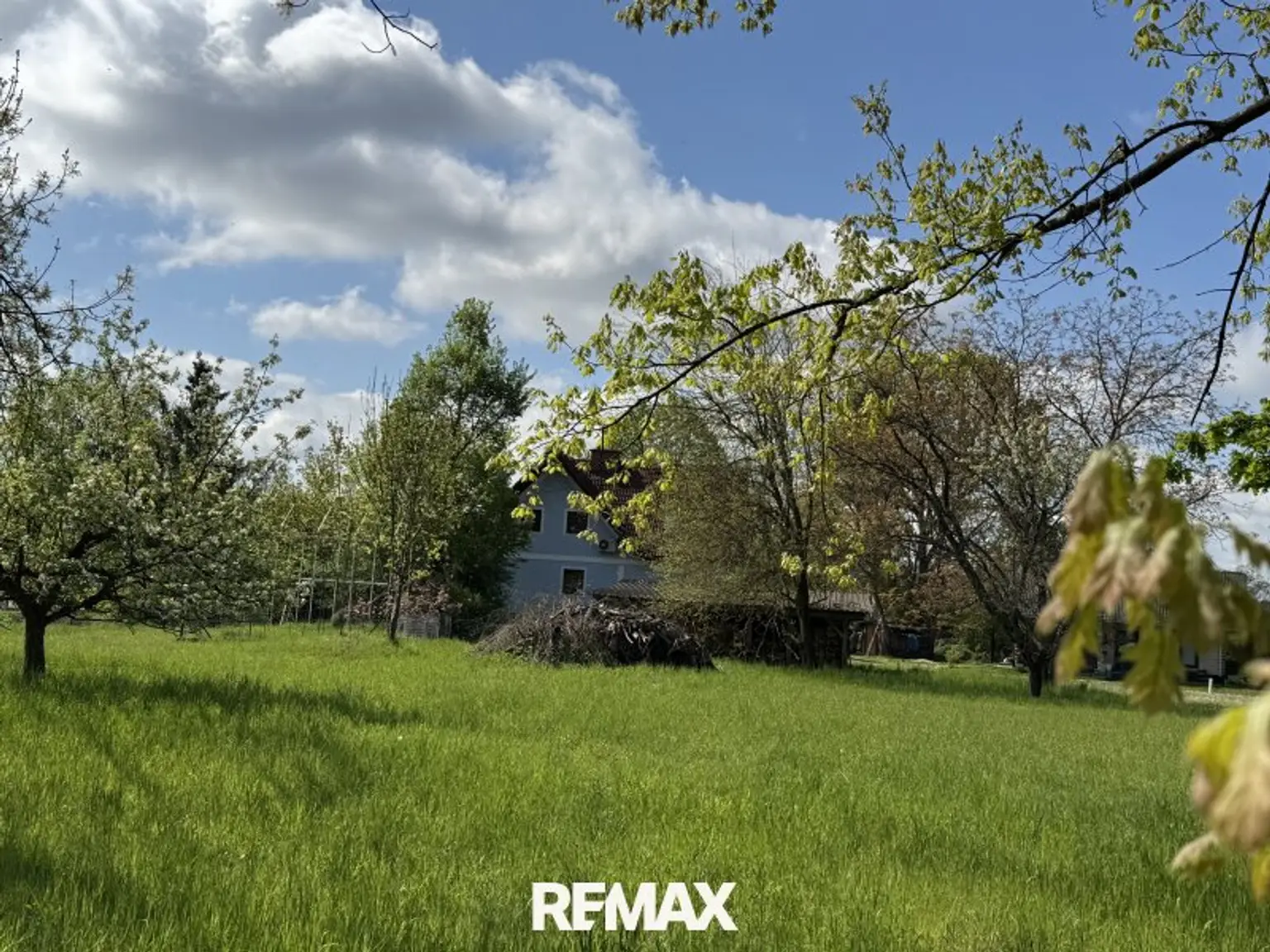 Blick Rückseite