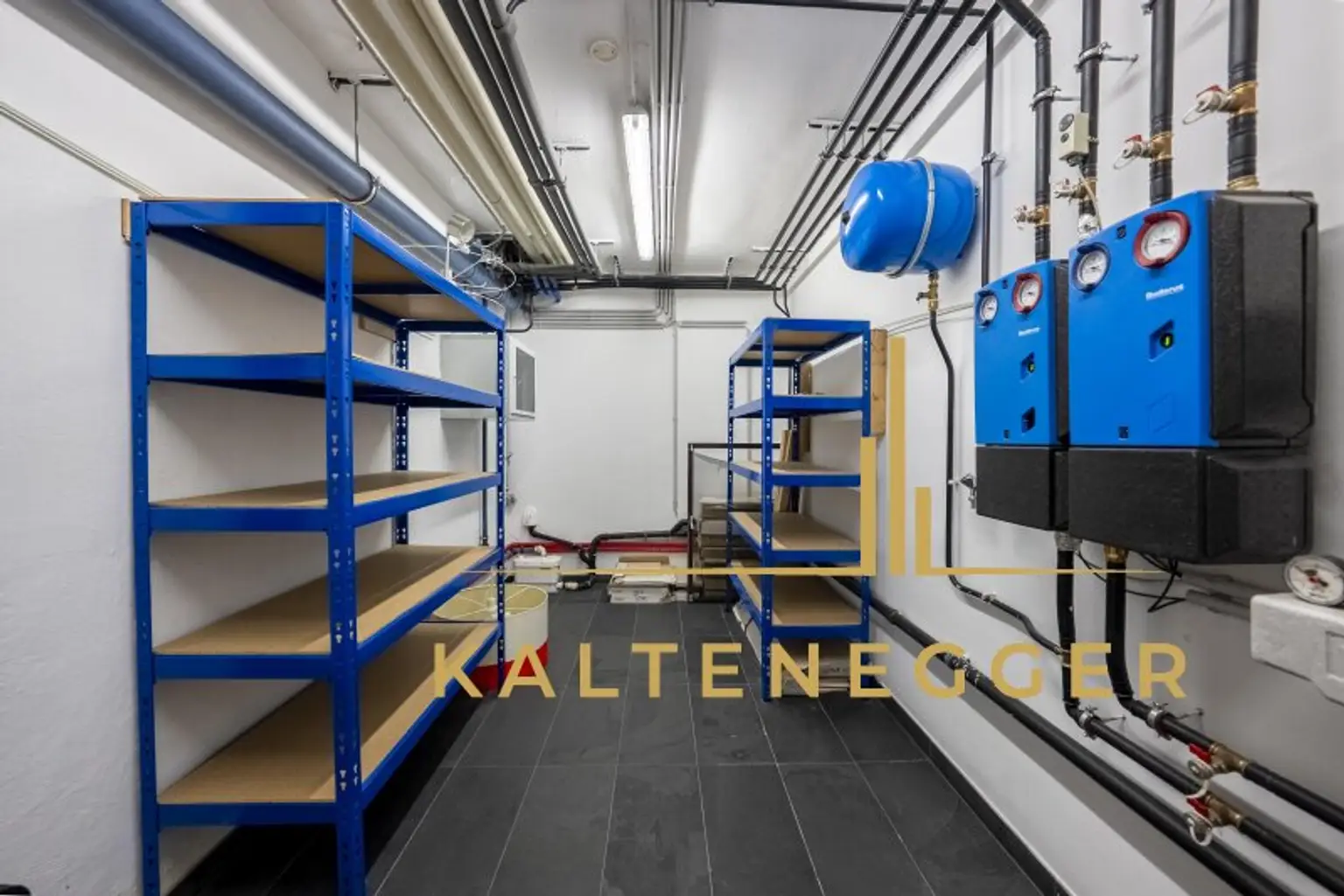 Luxusappartement in Wien-Döbling/Grinzing mit Einliegerwohnung, Terrasse, Pool, Garten und Garage