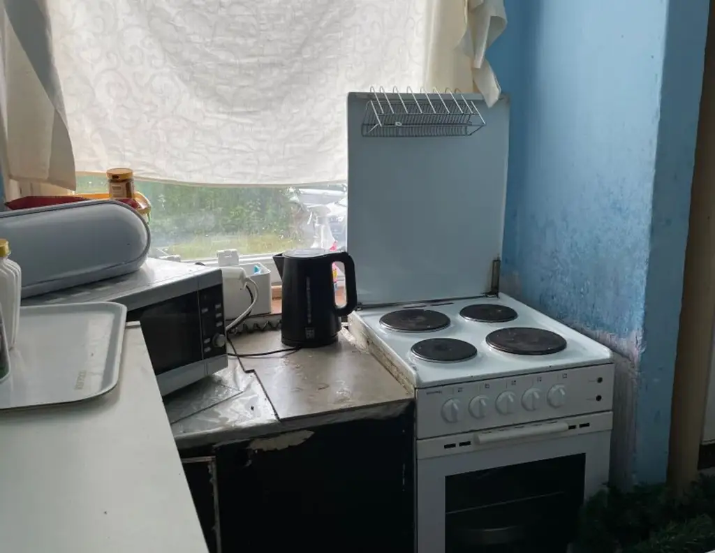 Rohdiamant mit Grünblick - hier steckt Potenzial drin!