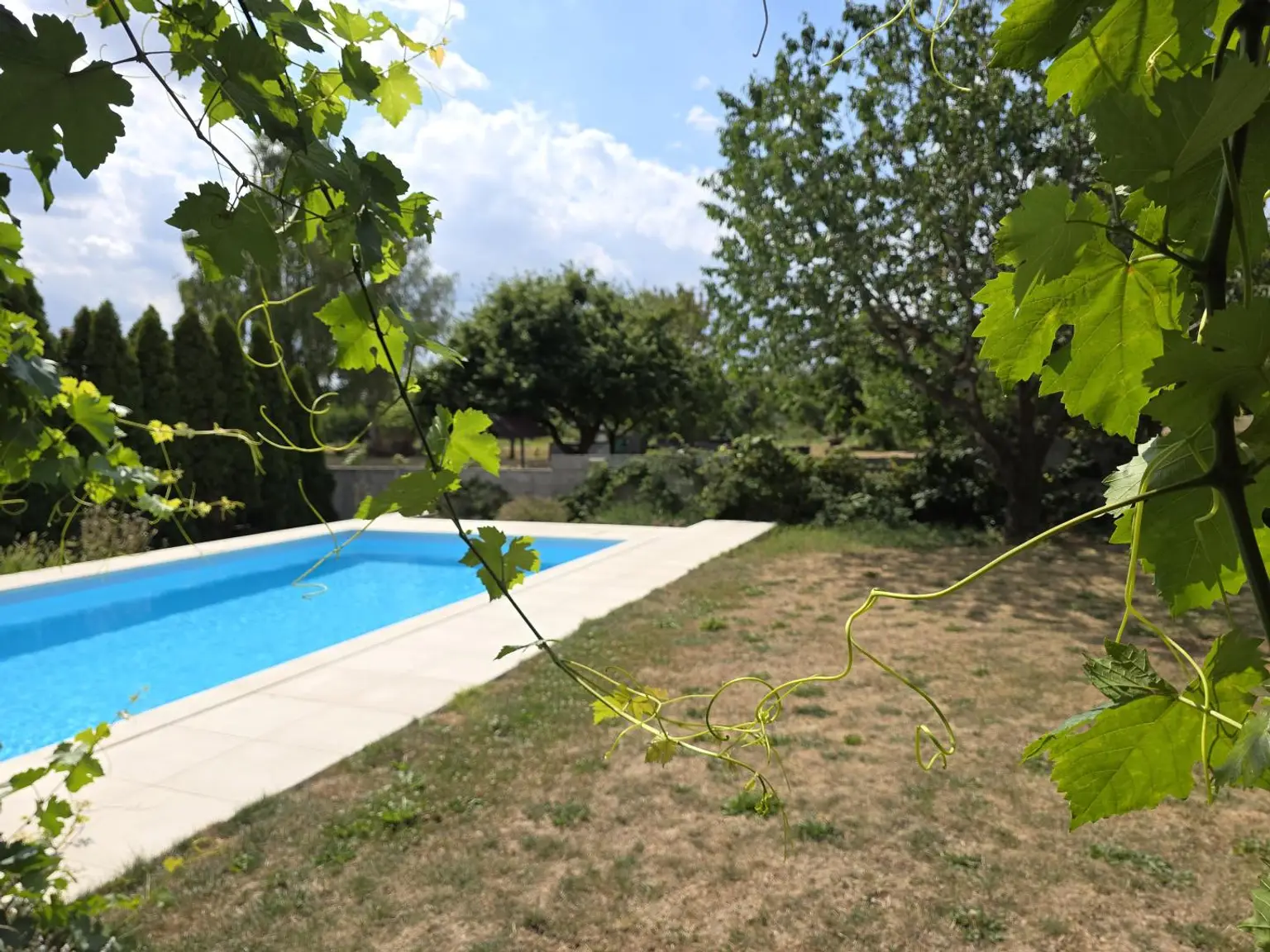 Garten mit Pool