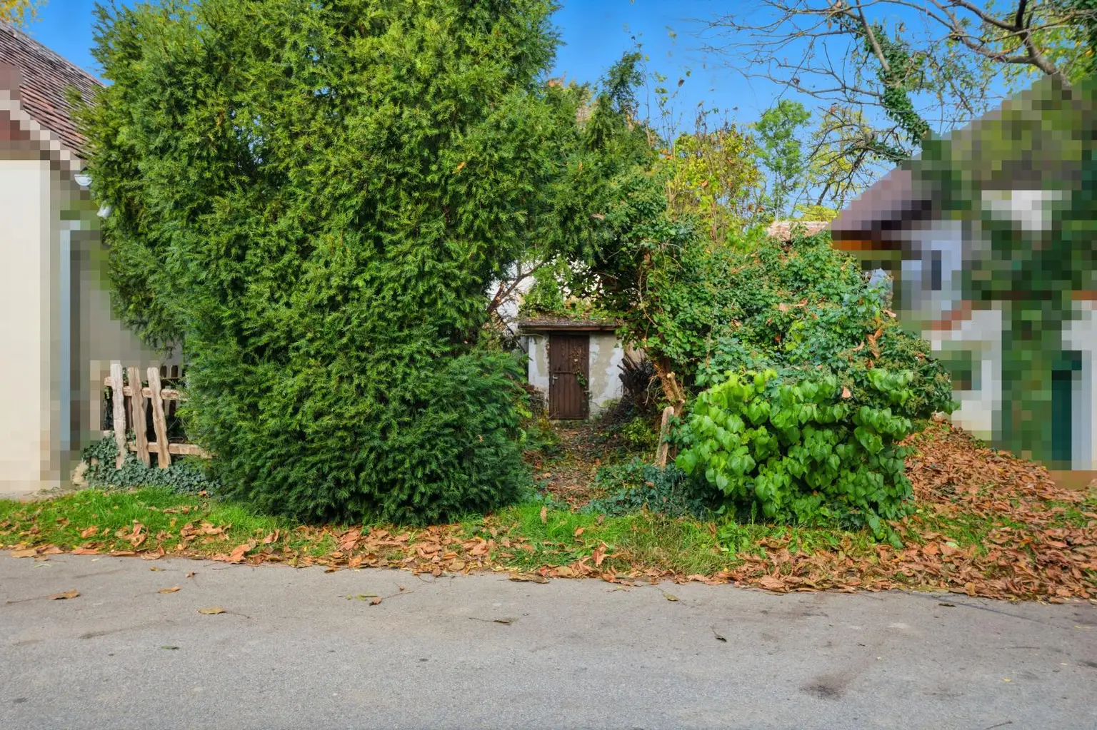 Revitalisieren und Gestalten nach eigenen Ideen: Weinkeller und Garten im Einklang mit der Natur!