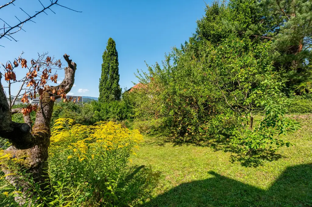 Rarität - Wohnhaus mit großem Garten in begehrter Hanglage am Ruckerlberg