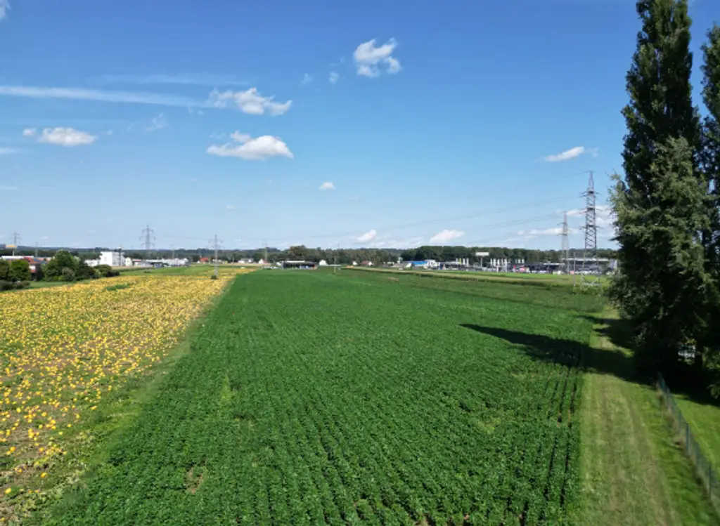 Gewerbegrundstücke im Gewerbegebiet Leibnitz