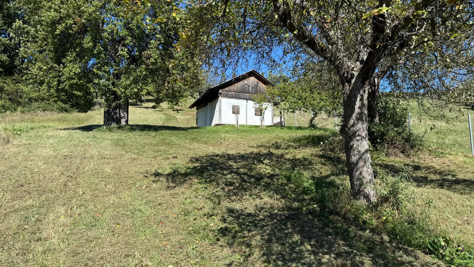 Idyllisches Kellerstöckl mit historischem Charme inmitten von Weingärten & Obstbäumen