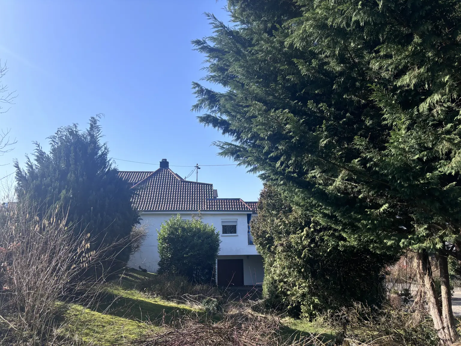 Seitliche Außenansicht (2)