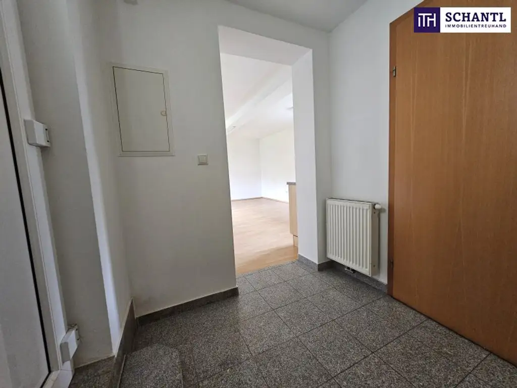 INVESTITIONS-SCHNÄPPCHEN! Charmante Kapitalanlage in Wildon mit TOP RENDITE! Bereits VERMIETET!