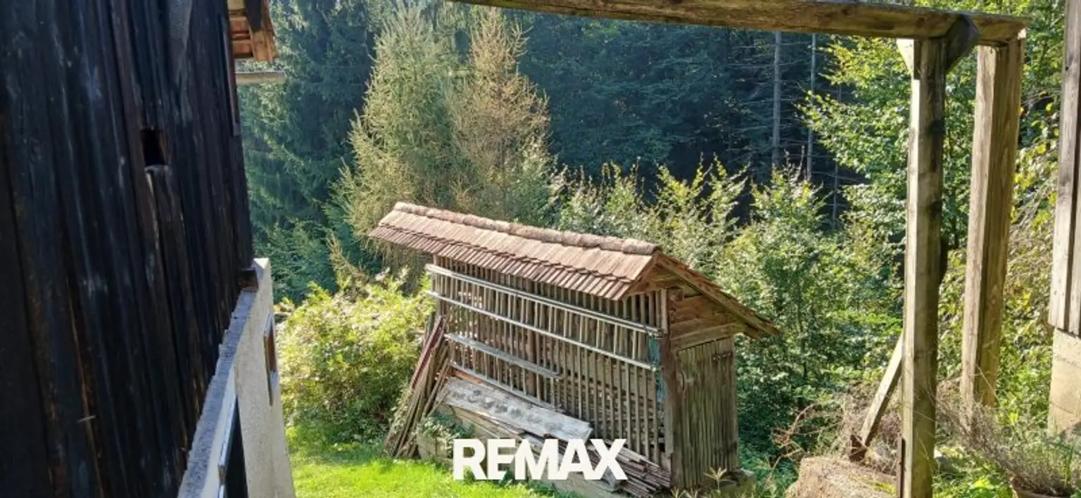 Blick zum Waldgrundstück