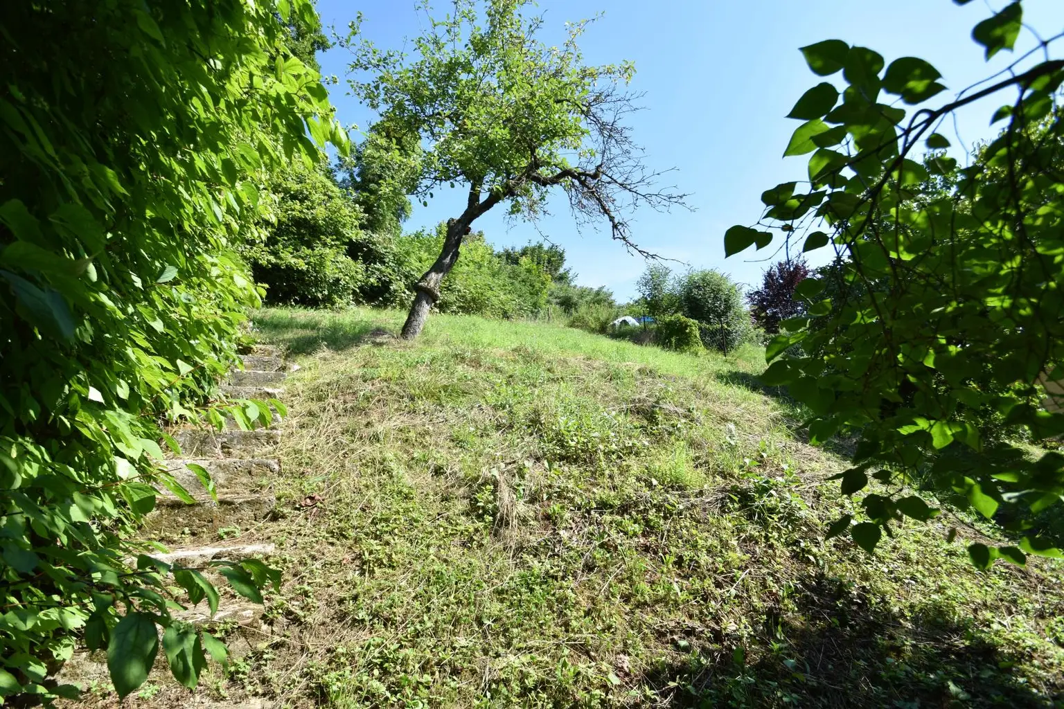 Wohnhaus mit Ötscherblick in erhöhter Siedlungslage