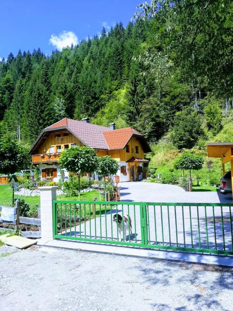 20180817_120742-EFFECTS