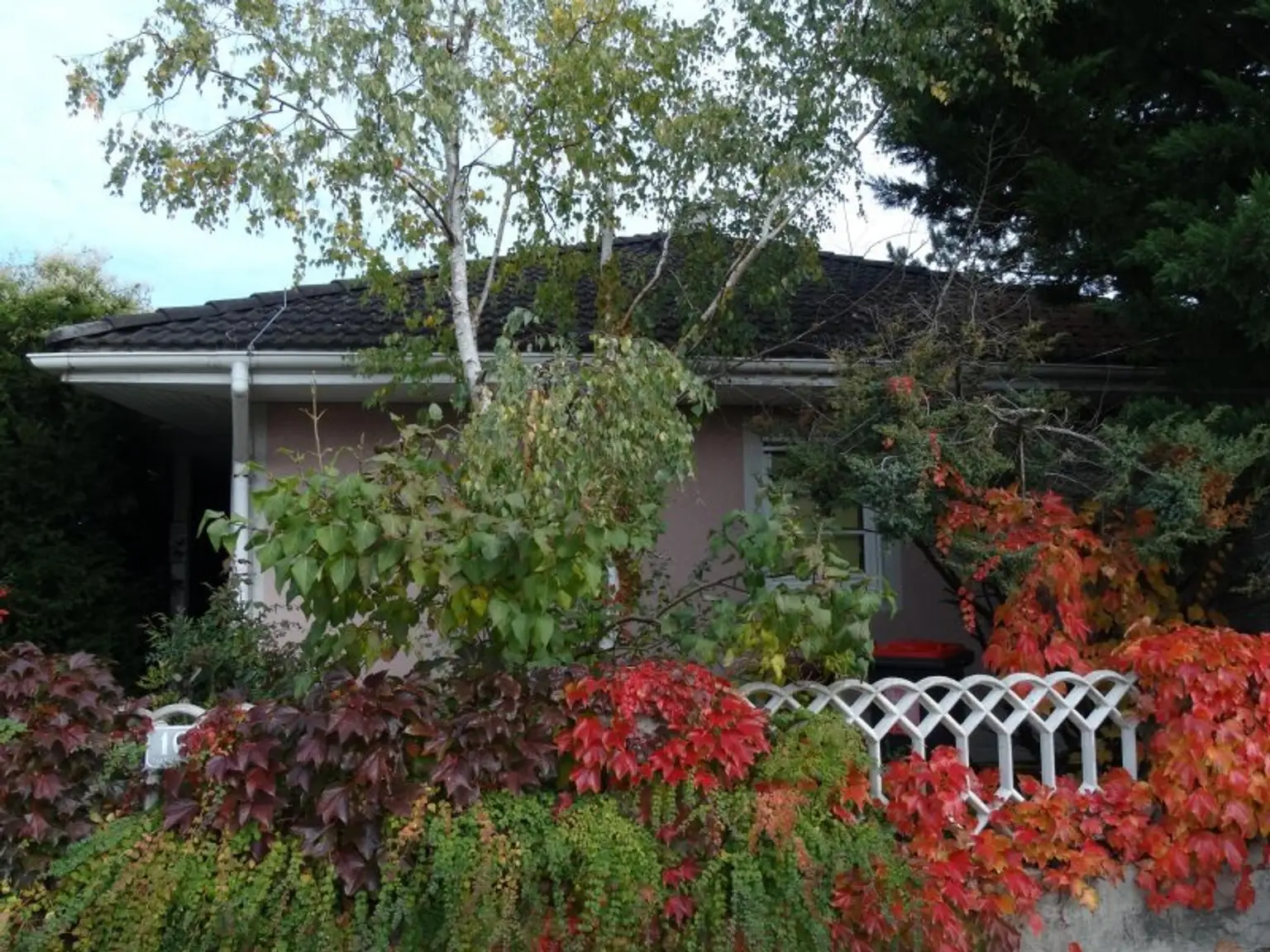 BUNGALOW INMITTEN DER VEGETATION IN RUHELAGE