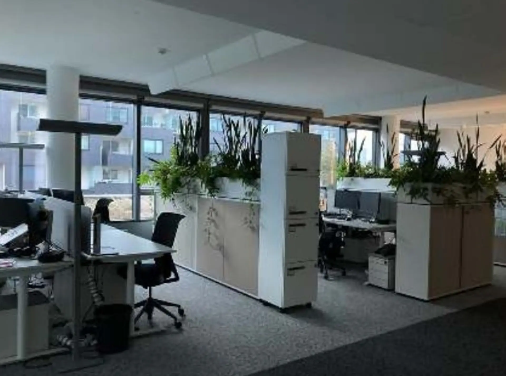 BIZ ZWEI innen Büro