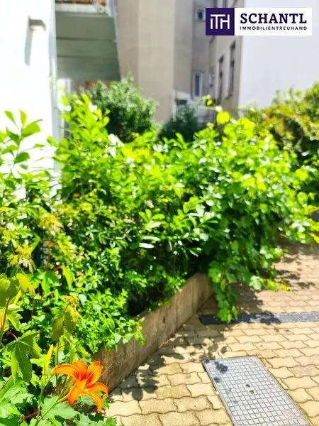 Frühjahrsaktion! Seltenheit! Perfekte Gartenwohnung - Hier will ich leben! Traumhaft saniertes Altbauhaus + Hofseitige Terrasse und Garten + Tolle Infrastruktur und Anbindung + Lebensqualität! Jetzt zugreifen!