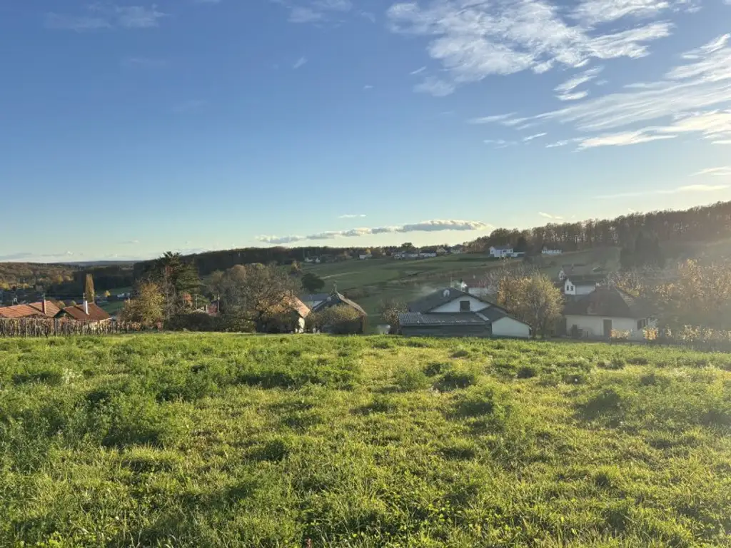 ** LEGENDE IN DER WEINIDYLLE ** D. Ehrensdorf !! Gepflegtes Haus mit ca. 245 m2 Nfl. in gediegener Ortsrandlage - Hauptwohnsitz möglich !!