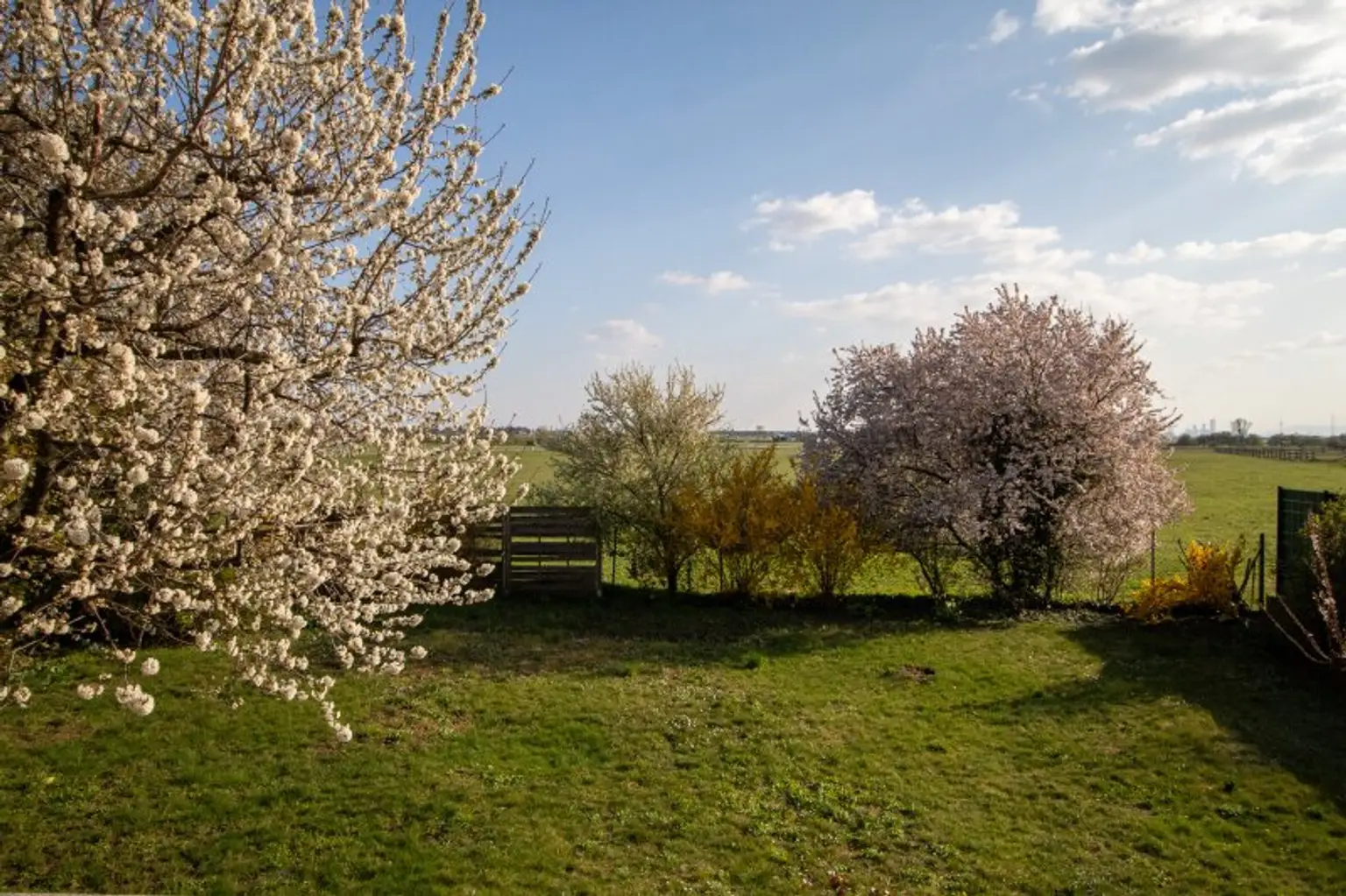 Blick von der Terrasse in den Garten