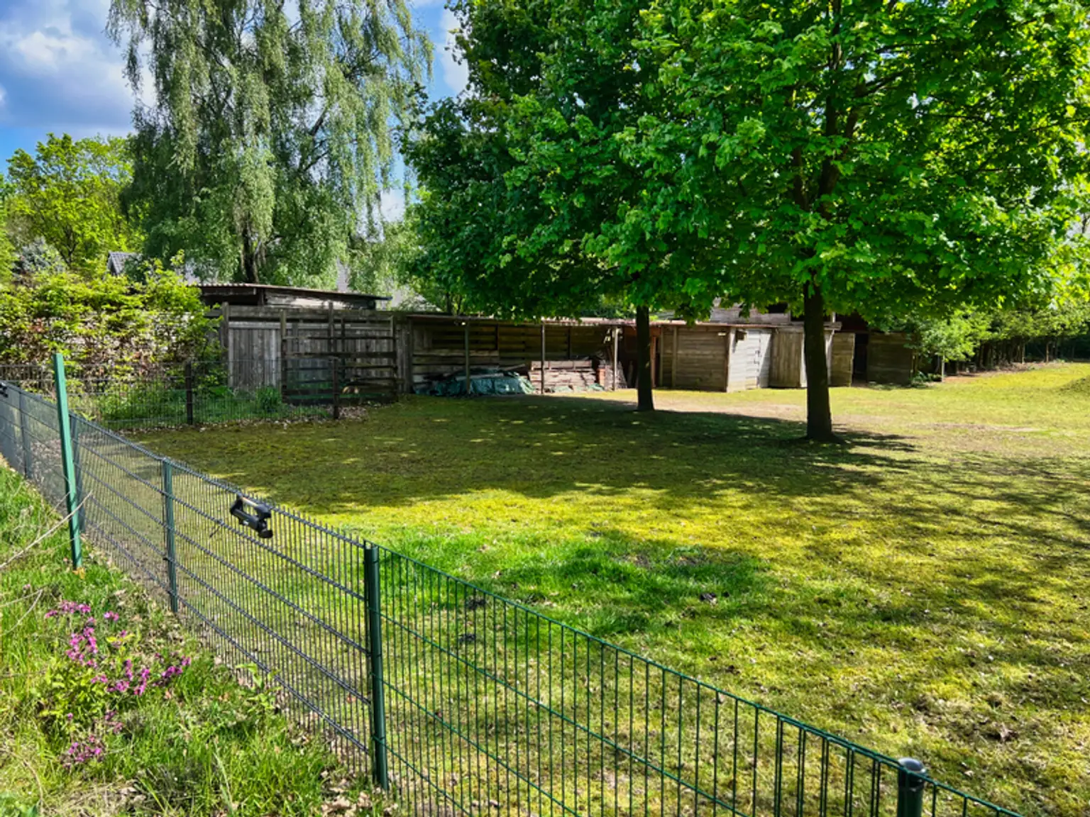 Idylle pur! Haus & Hof in Randlage von Stavern!