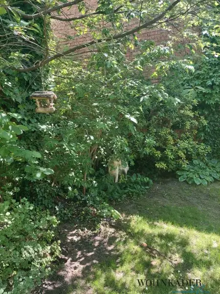 Großzügige 2-Zimmer-Gartenwohnung – ein Ruhepol mit 80 m² Außenfläche