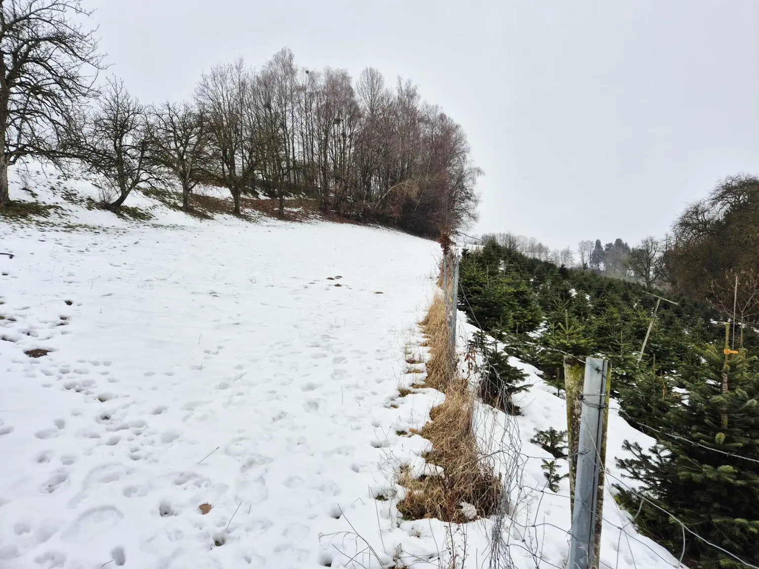 Ansicht Gstk. Nr. 1031  III