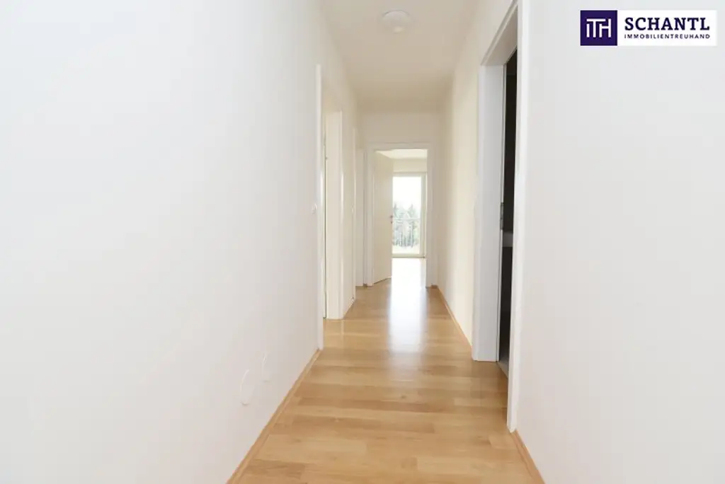 Exklusives Einfamilienhaus mit Panoramaterrasse in der steirischen Weingegend – Ein Wohnjuwel für höchste Ansprüche!