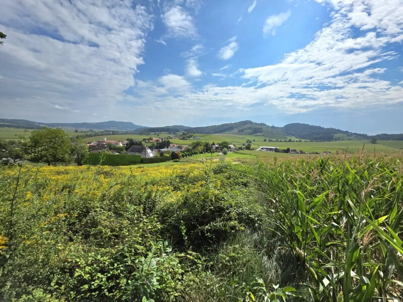 Wohnen am Waldrand mit Fernblick!