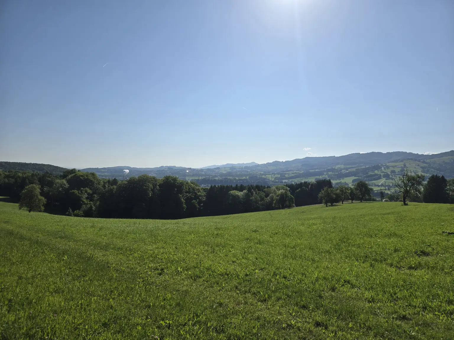 Ruhige Lage mit Ausblick ins Grüne