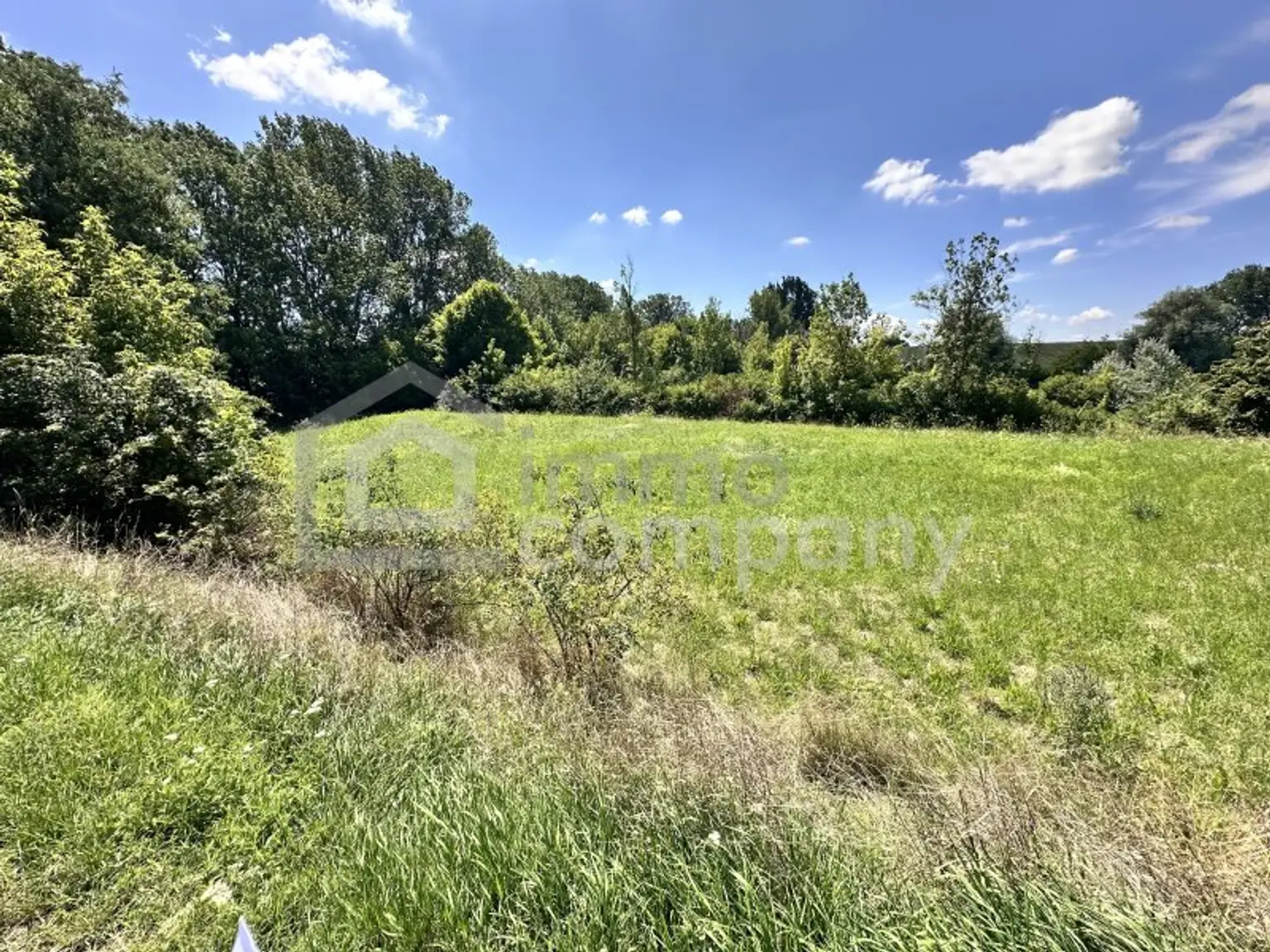 Traumhaftes Grünland Grundstück mit Fischteich in Prellenkirchen 18064m2 – Ihr Platz für Visionen!