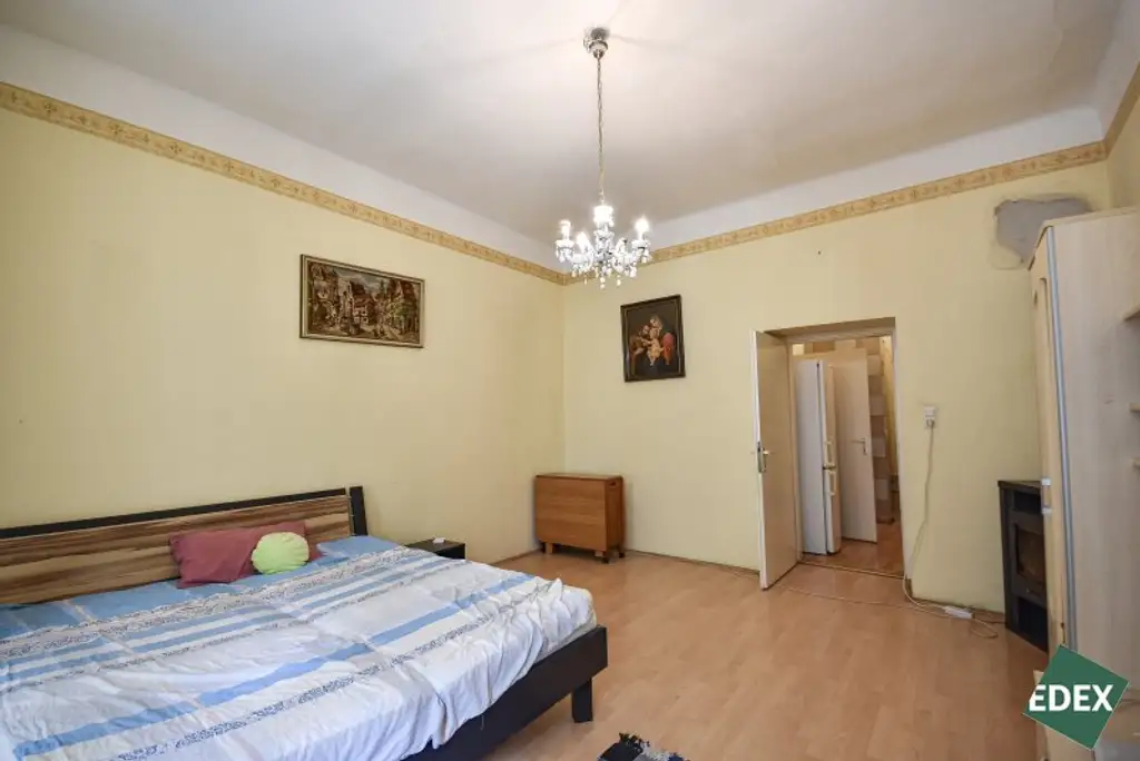 Ideal für kreative Gestalter oder Projektentwickler- Altbauwohnung – 1 Zimmer in Parknähe, 1200 Wien