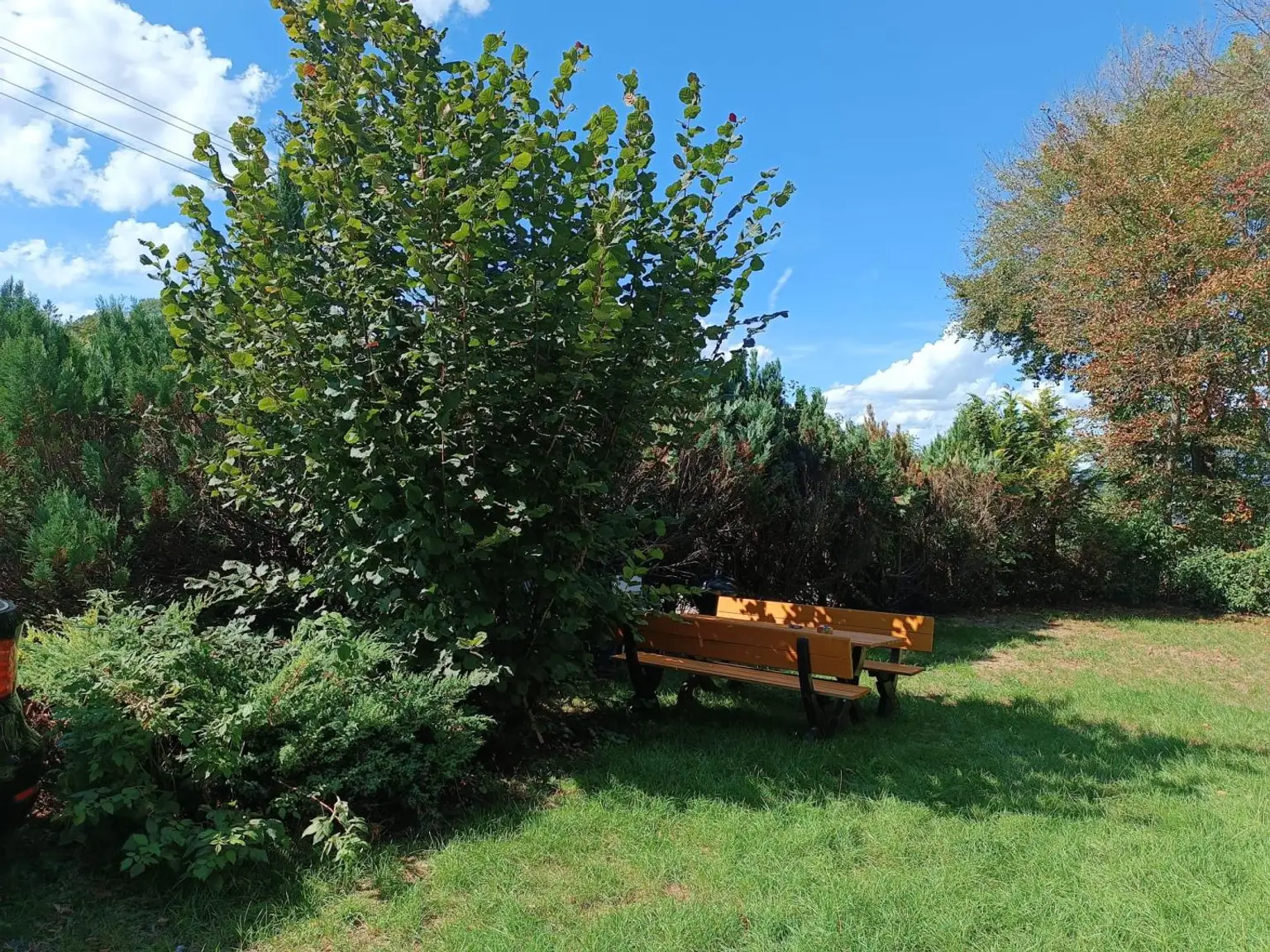 großzügier Garten  allgemein