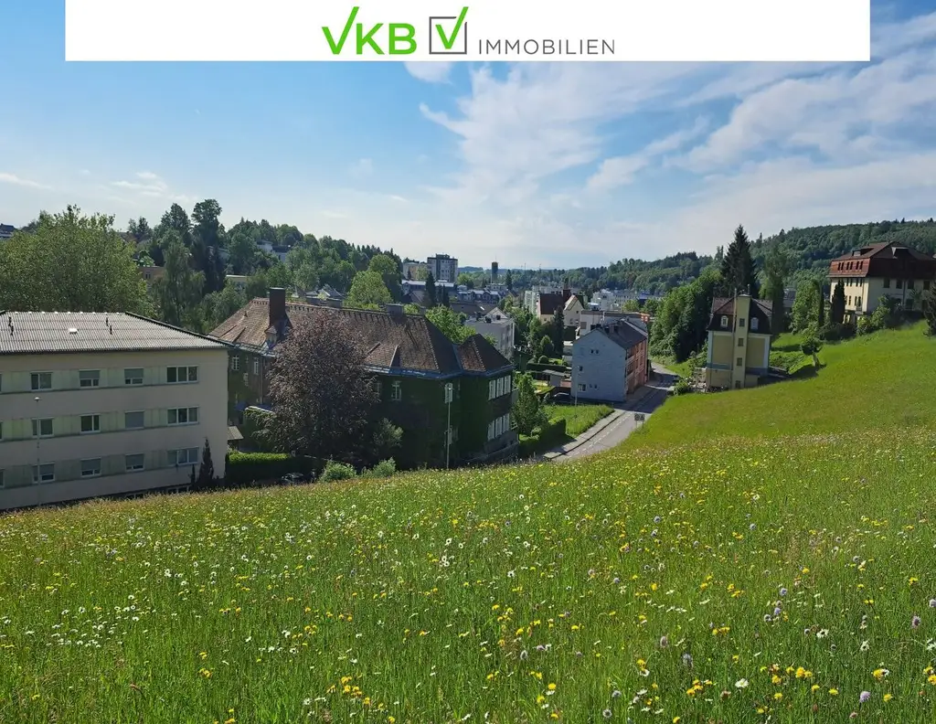 Bad Schallerbach: NEUER PREIS Großflächiges Baugrundstück (6395m²) in Zentrumslage zu verkaufen!