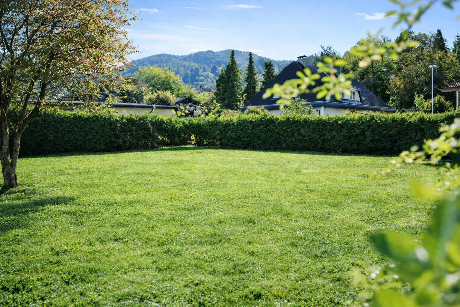 Garten im Sommer