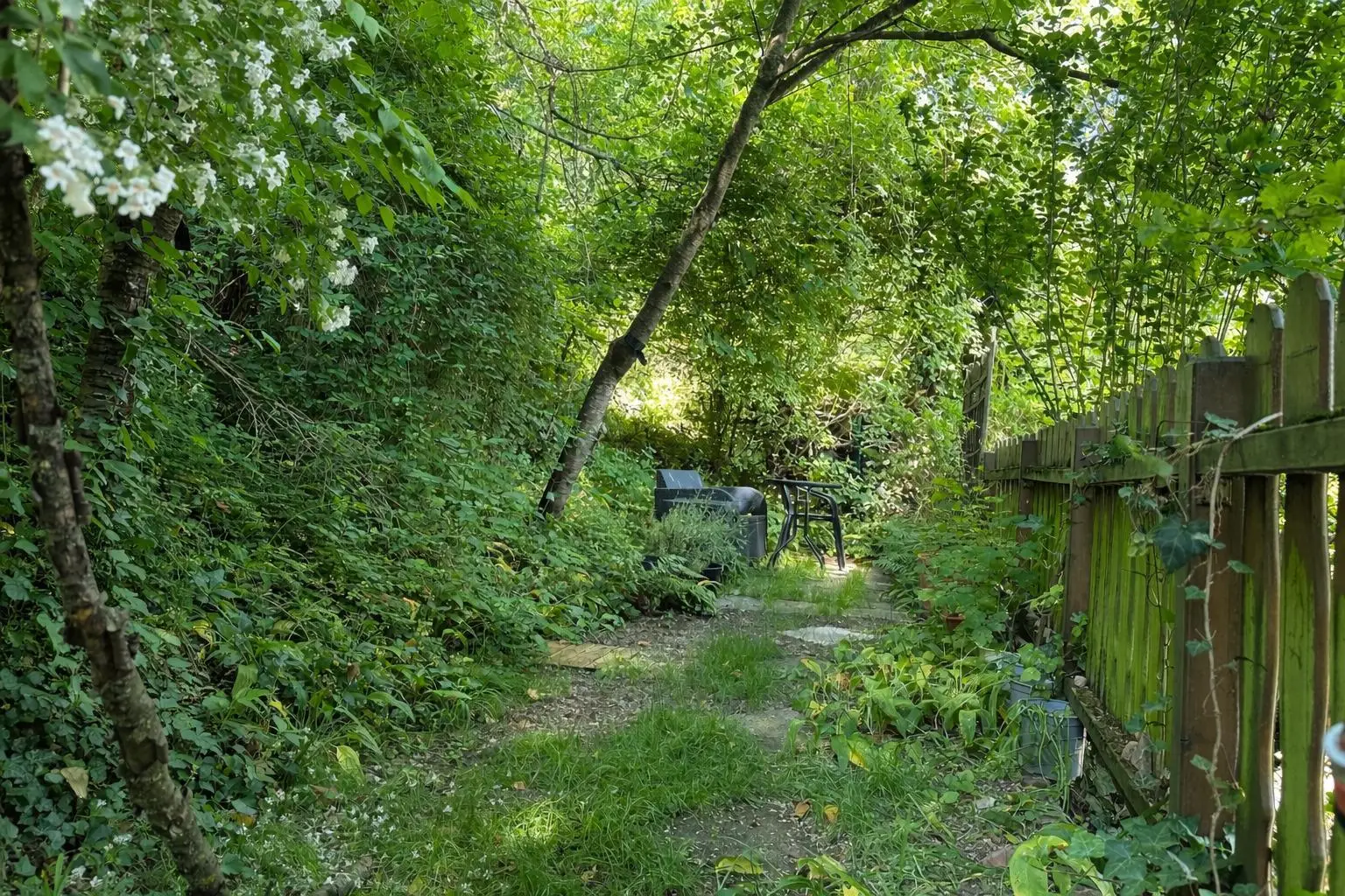 allgemeiner Garten