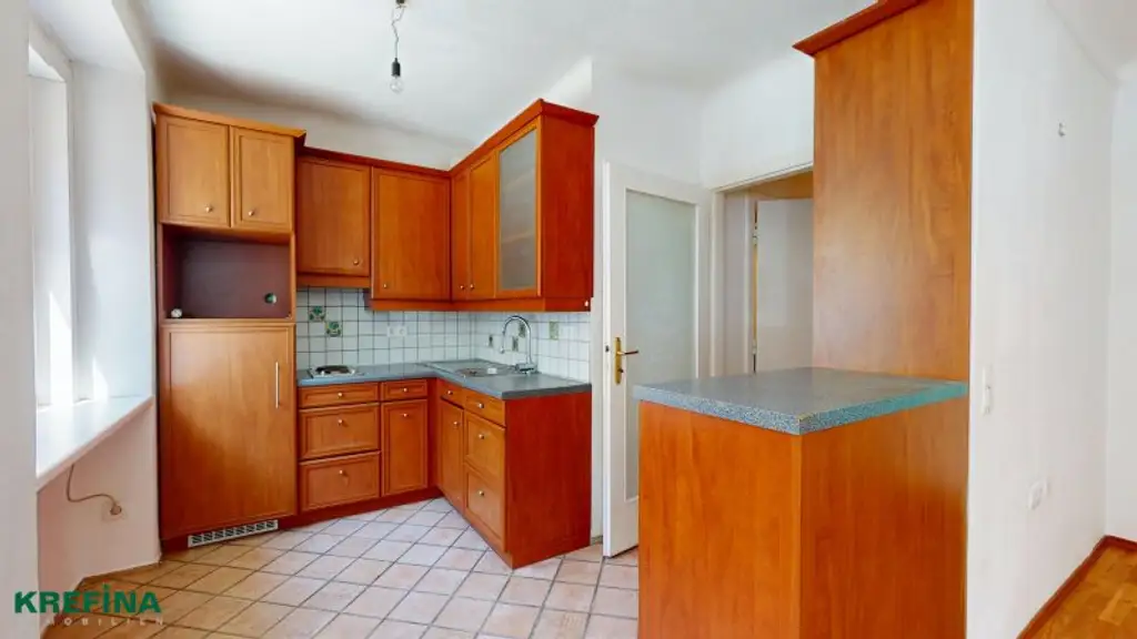 Leo-Slezak-Gasse: AKH-Nähe - U6-Anbindung - Erdgeschoßwohnung - Teilrenoviert