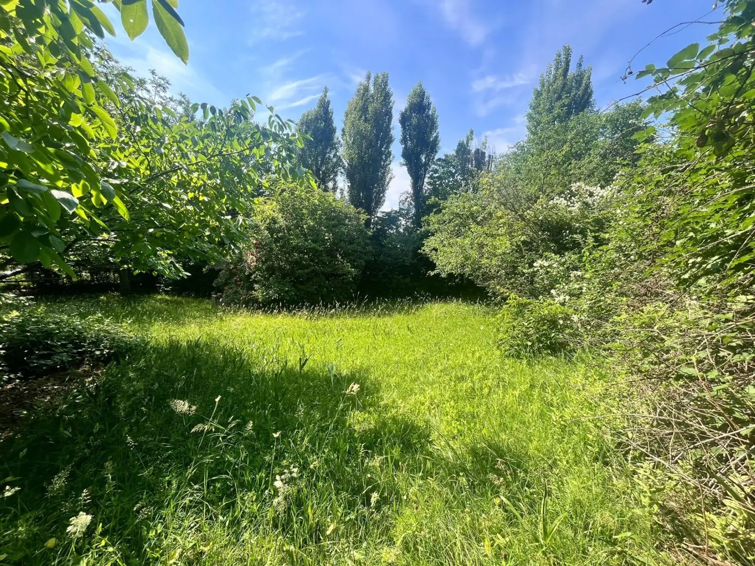 07 Baugrundstück am Riederberg