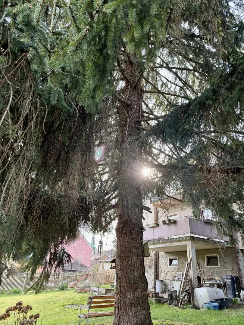 C7D6F2D5-1D08-436D-9697-52E988A07FDA_1_201_a