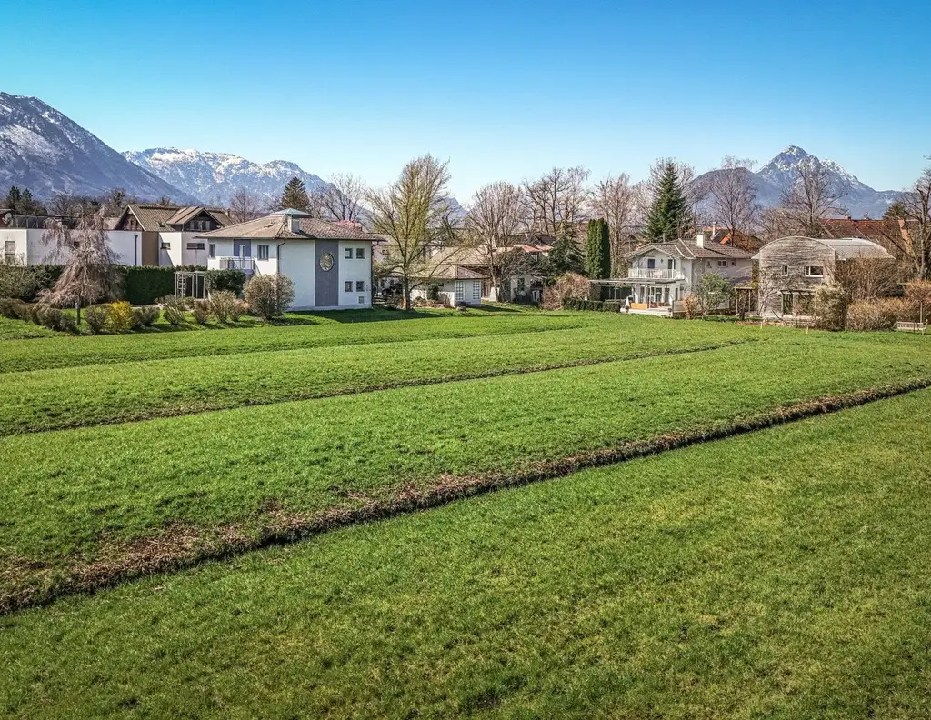 MORGENTAU AM GRÜNLAND | PANORAMAGRUNDSTÜCK LEOPOLDSKRON