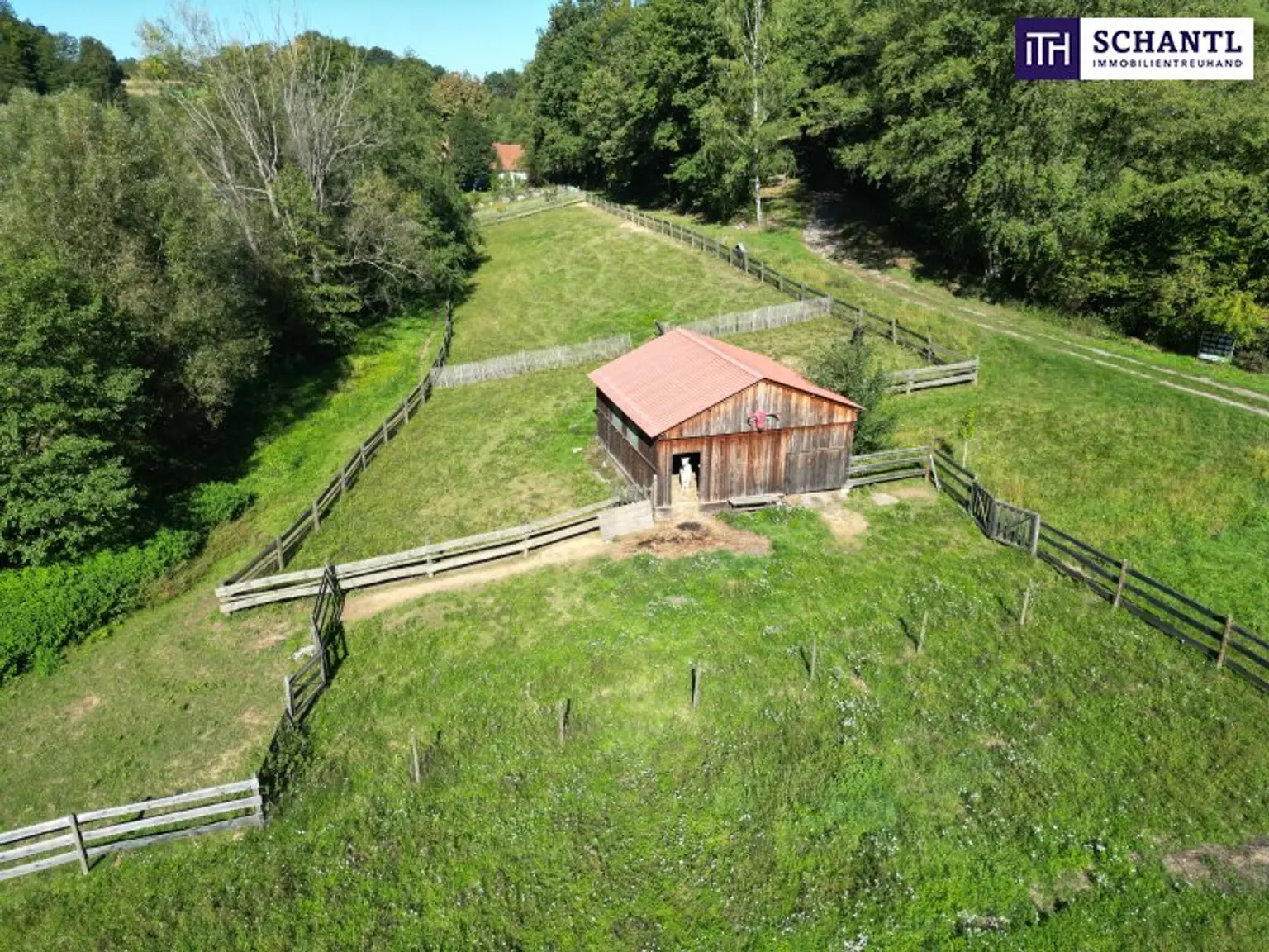 SENSATIONELLES JUWEL! Exklusiver Vierkanthof im Thermenland Steiermark – Wohnen, Reiten & Leben mit Pool und Natur!