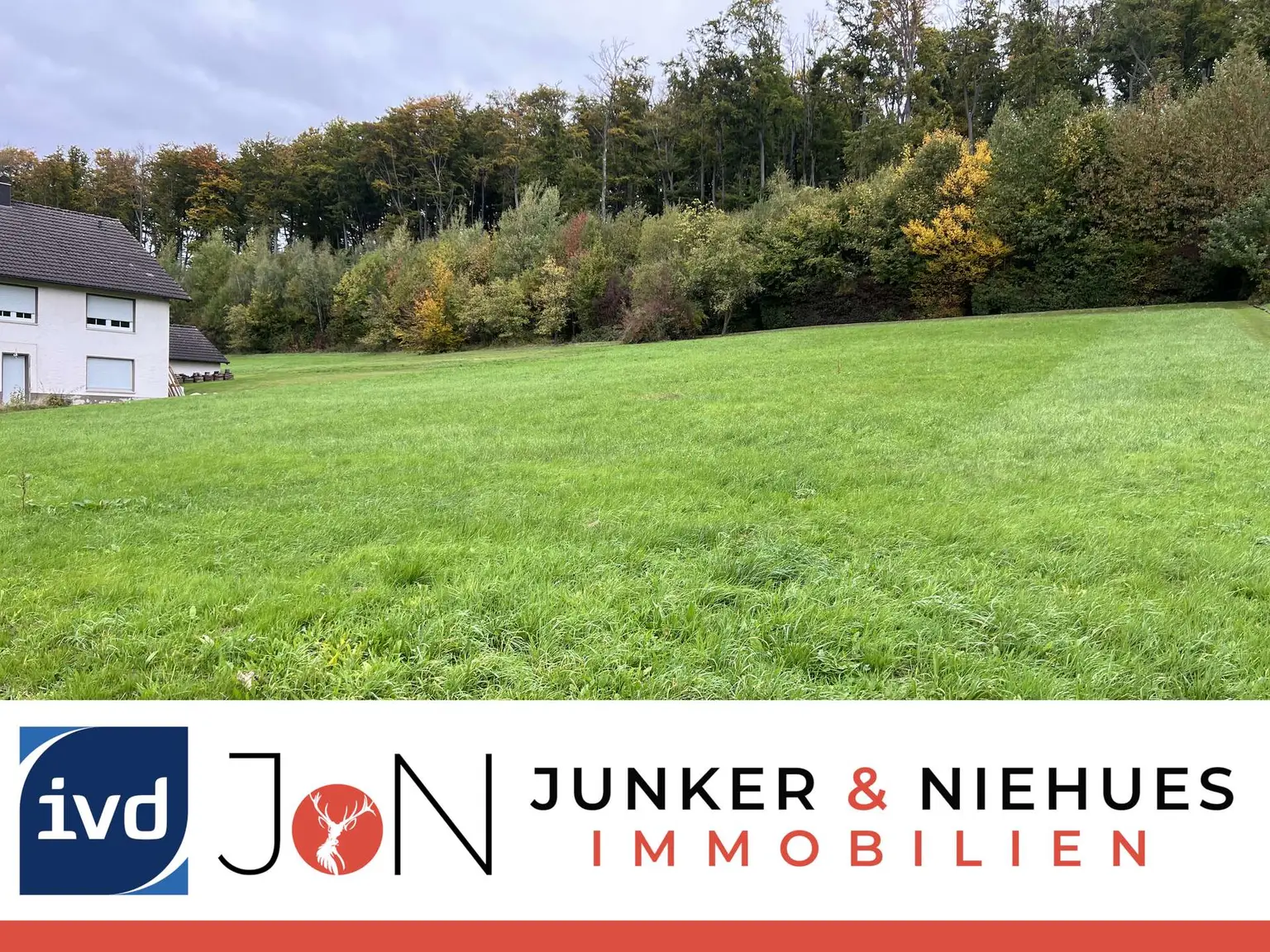 Raum für Zukunftspläne – Grundstück in Währentrup