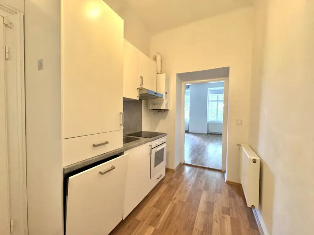 Cityapartment nahe U3 Schlachthausgasse - Charmanter Altbau in Ruhelage