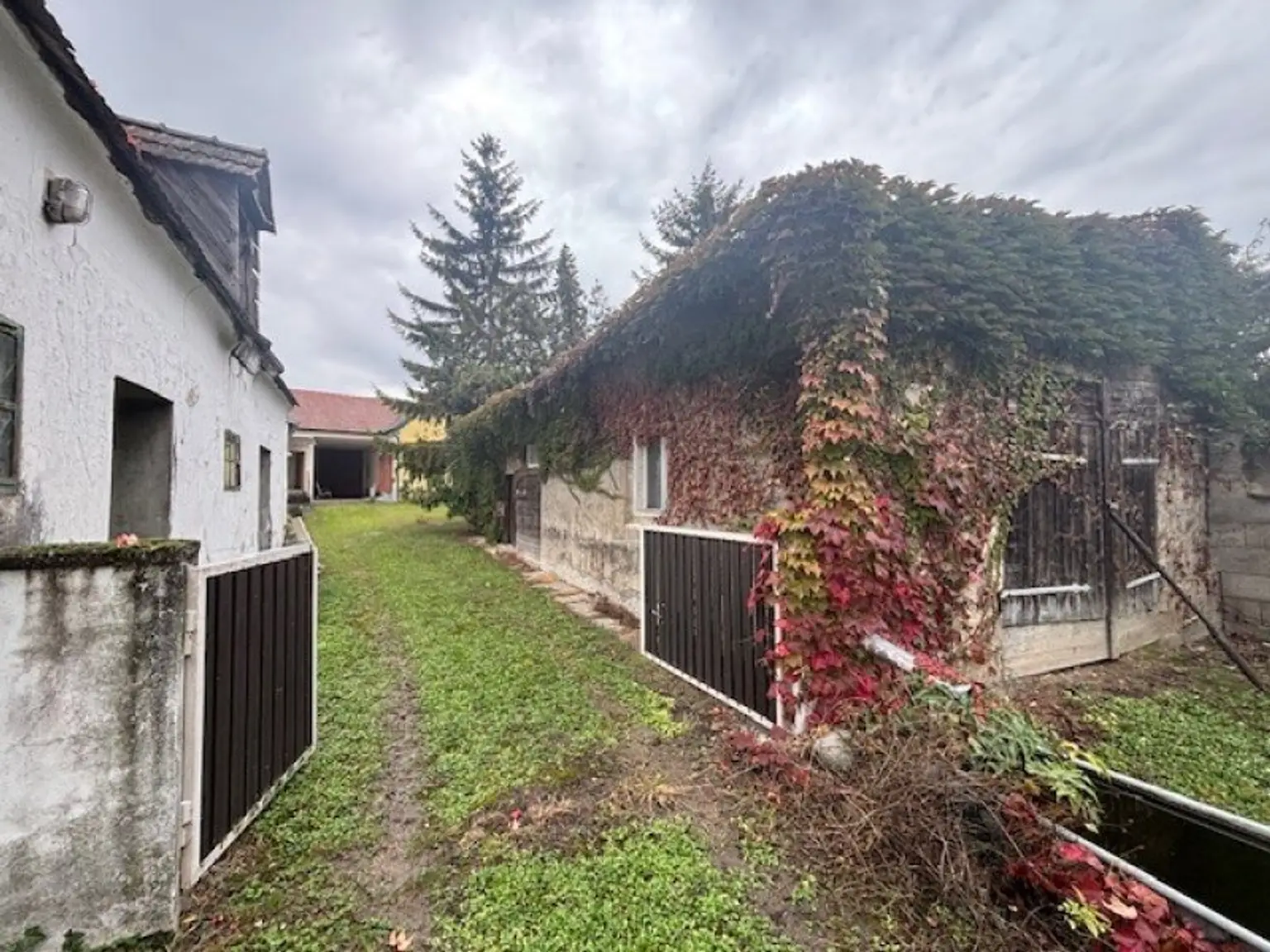 Oggau - Erwecken Sie dieses Landhaus aus dem Schlaf!
