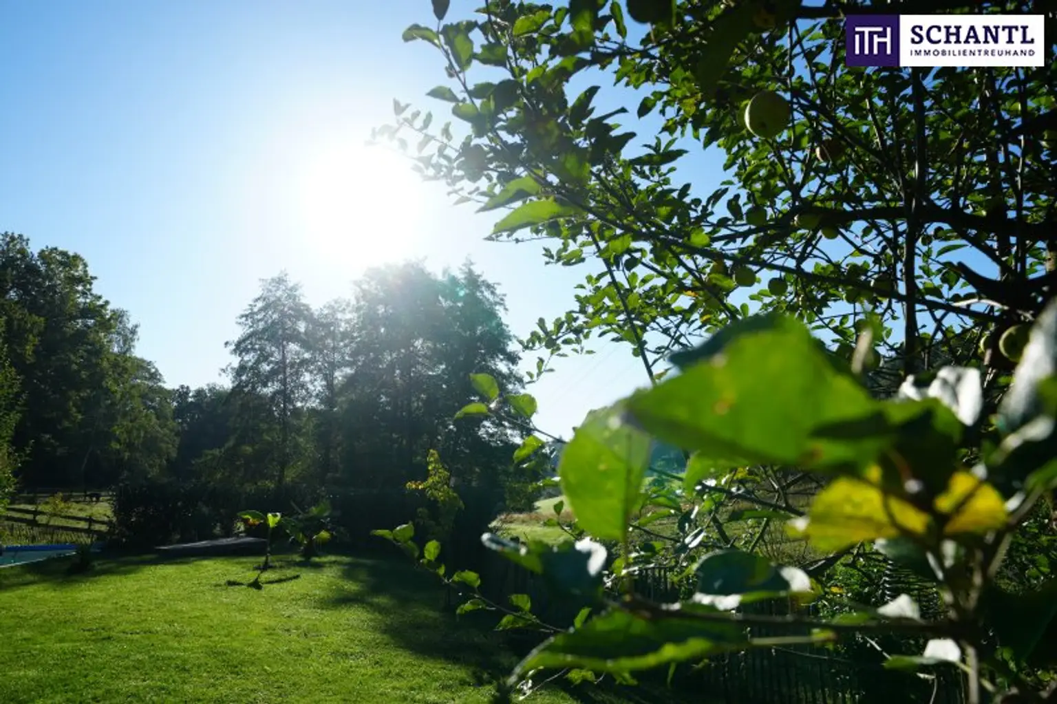 SENSATIONELLES JUWEL! Exklusiver Vierkanthof im Thermenland Steiermark – Wohnen, Reiten & Leben mit Pool und Natur!