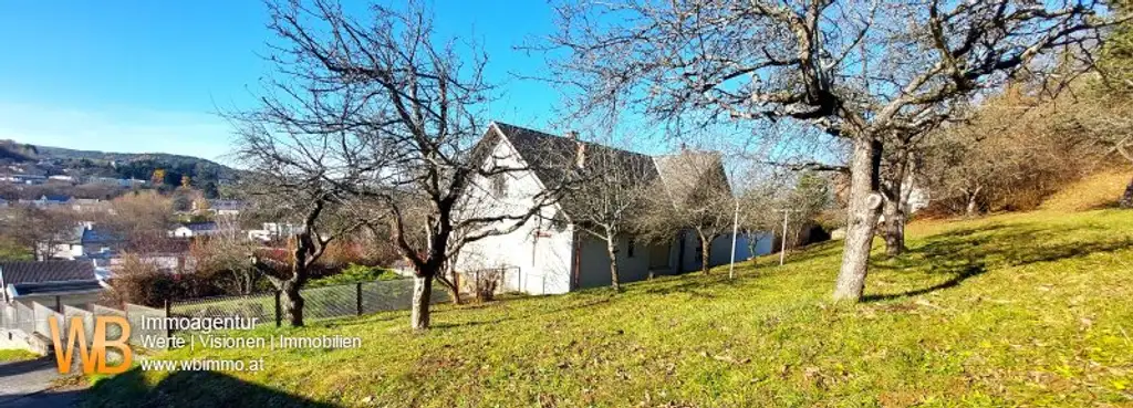 Panorama 200m² WFL, 2 Wohngeschoße, großer Garten, Obstbäume, Wald