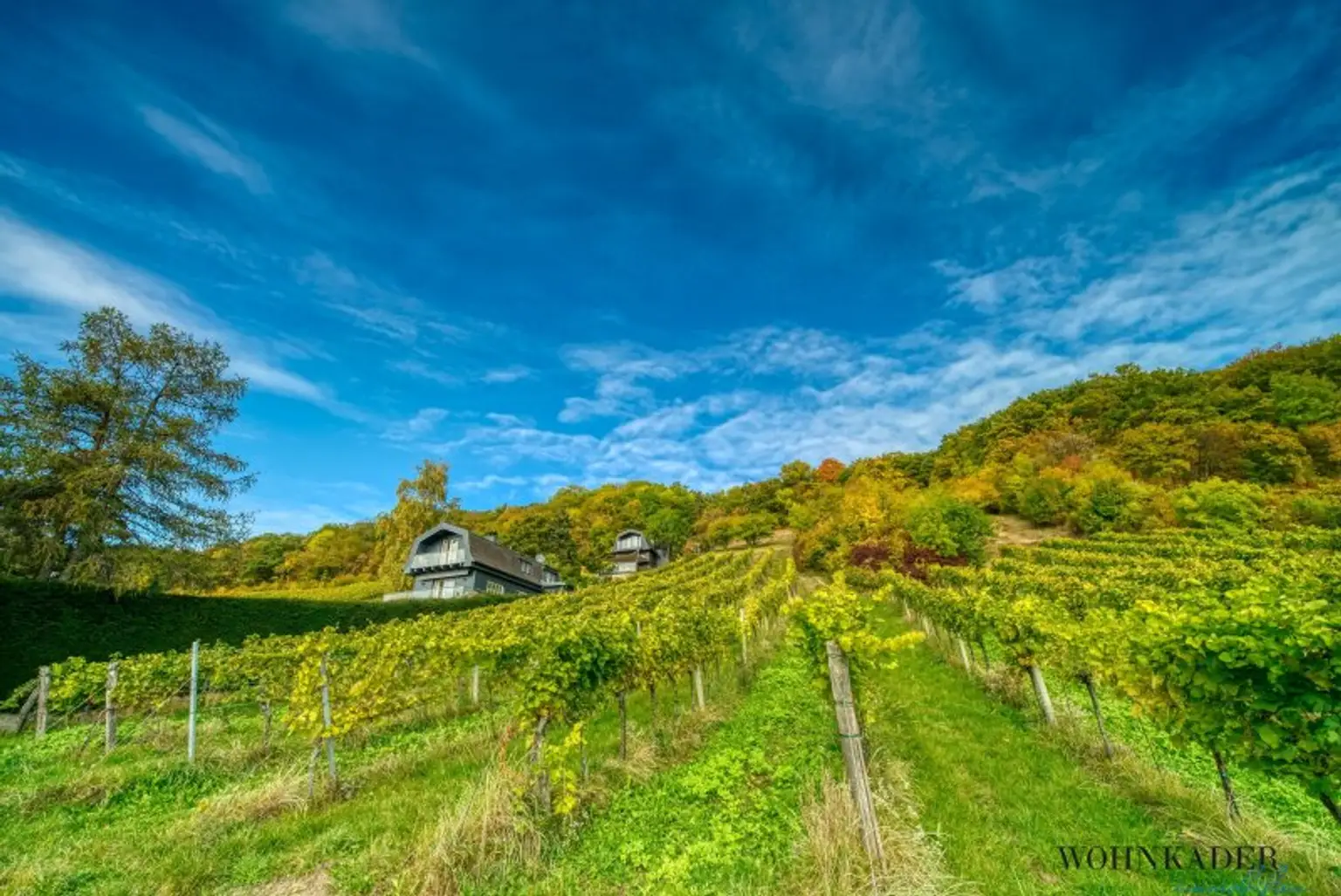 Exklusives Traumhaus zur Miete mit Panoramablick auf die Weinberge