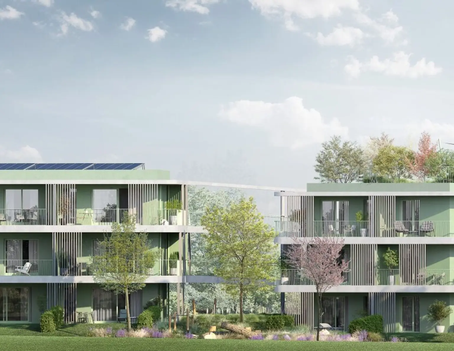 "The Roof" - Nachhaltiger Luxus auf Ihrer neuen Rundumterrasse!