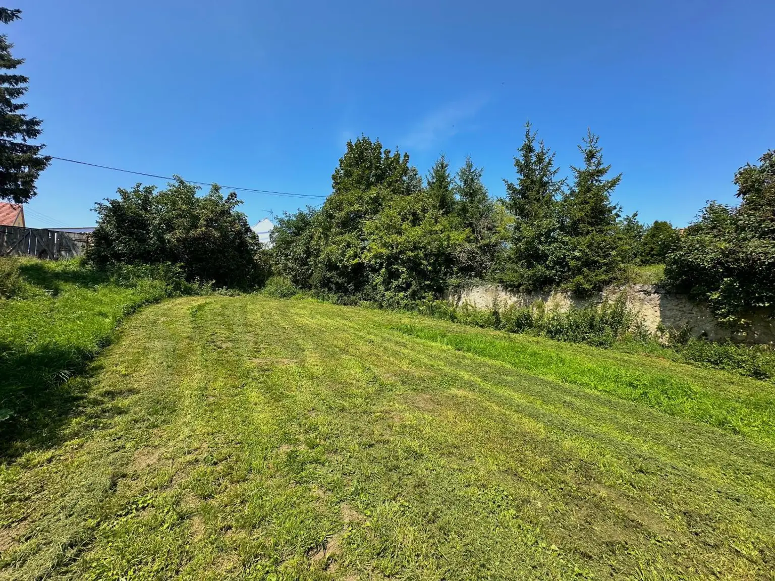 Garten hinten