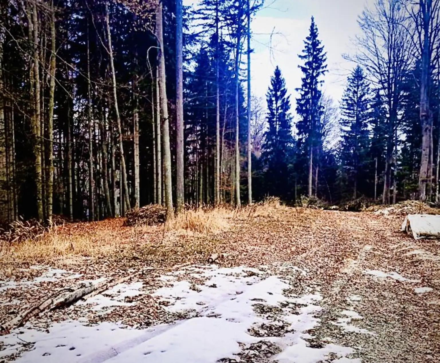 Wege zur Bespielung und Bewirtschaftung _LKW-tauglich