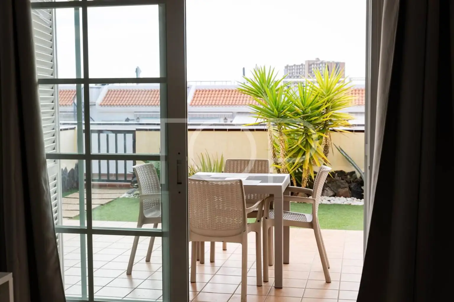 WhatsApp Image 2026-02-10 at 11.36.06